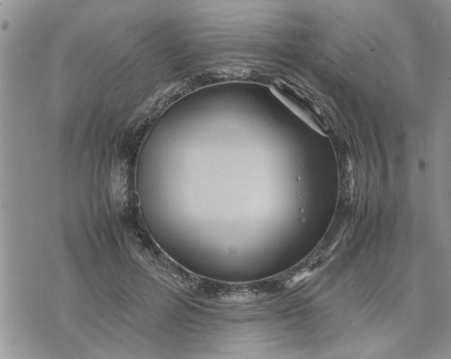 X0000075380600200609251154