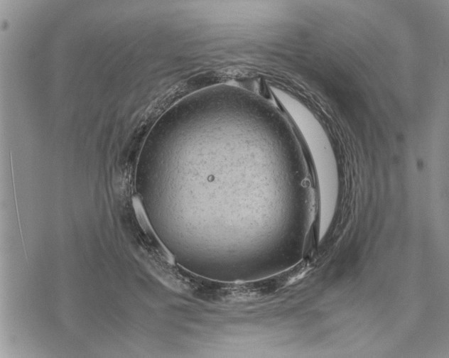 X0000075380601200609251154