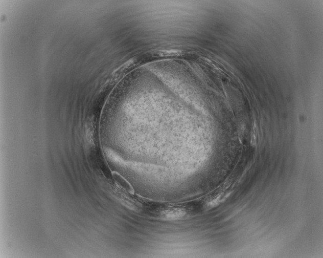 X0000075380604200609251154