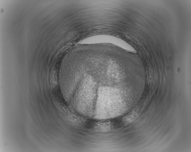 X0000075380606200609251154