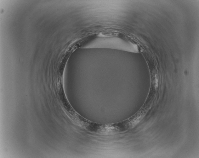 X0000075380607200609251154