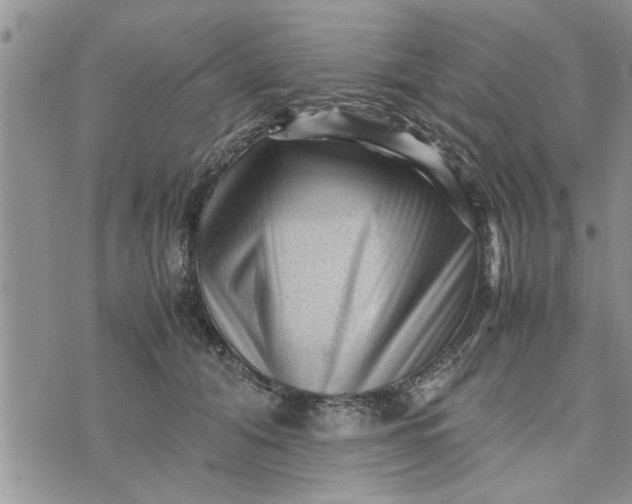 X0000075380608200609251154