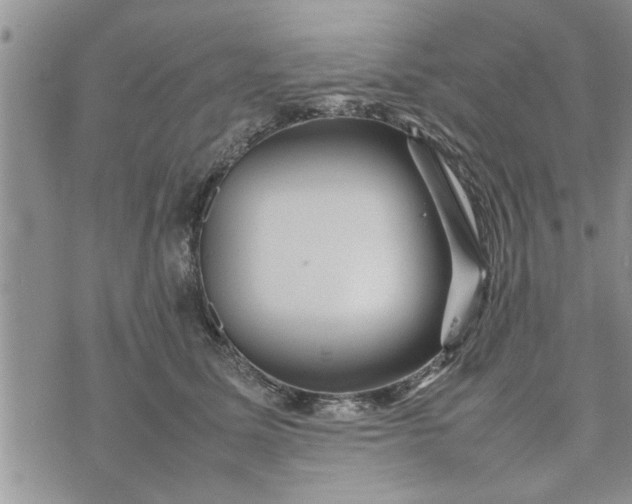 X0000075380611200609251154