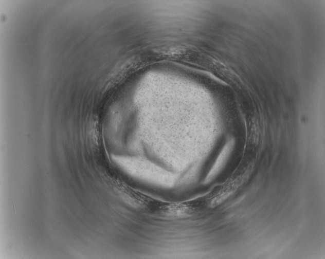 X0000075380612200609251154