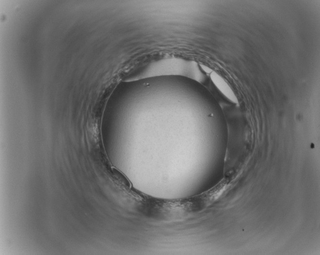 X0000075380613200609251154