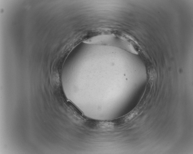 X0000075380617200609251154