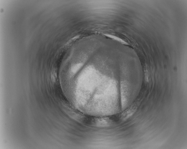 X0000075380618200609251154