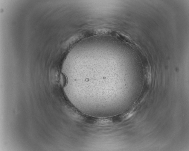 X0000075380619200609251154