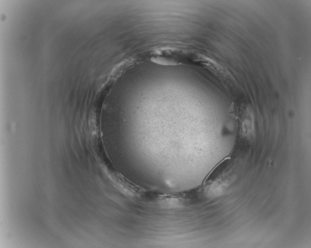 X0000075380620200609251154