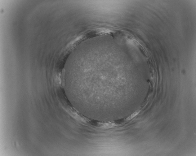 X0000075380621200609251154