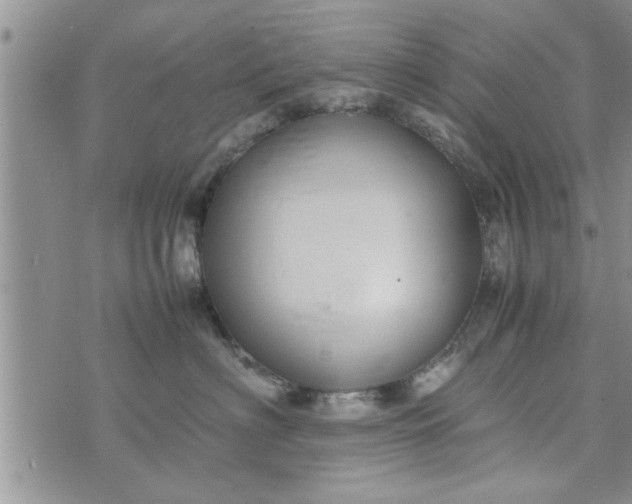 X0000075380622200609251153