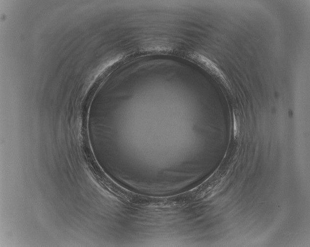 X0000075380627200609251153