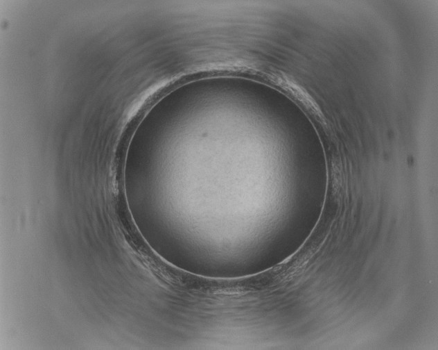 X0000075380628200609251153