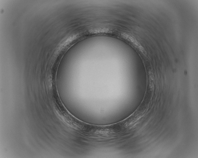 X0000075380631200609251153