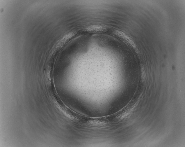 X0000075380633200609251153