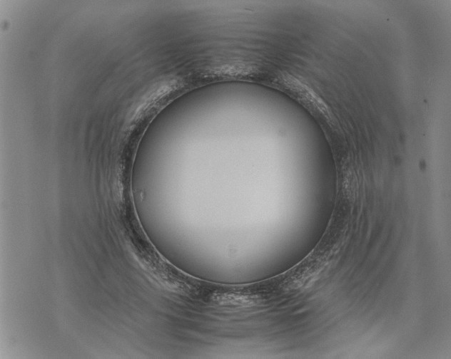 X0000075380635200609251153