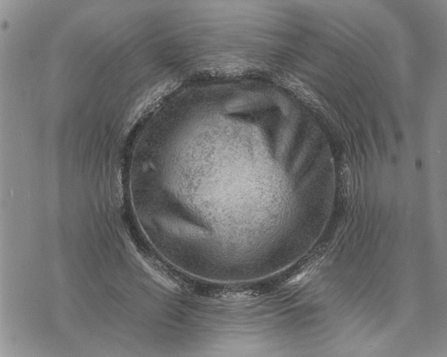 X0000075380638200609251153