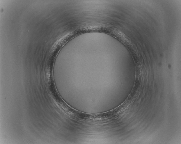 X0000075380640200609251153