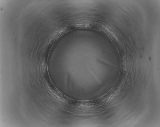 X0000075380641200609251153