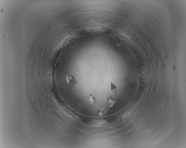 X0000075380642200609251153