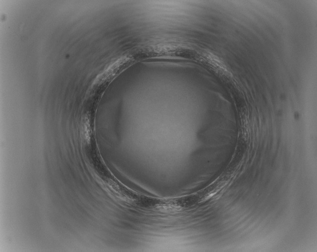 X0000075380644200609251153