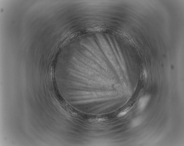 X0000075380647200609251153