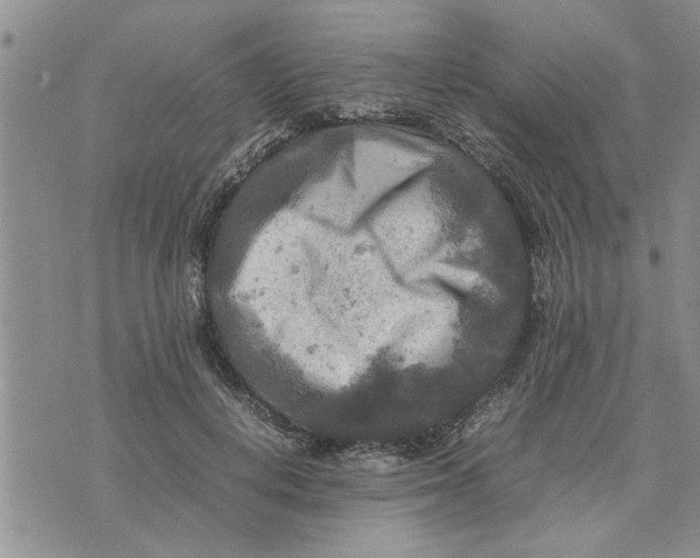 X0000075380648200609251153