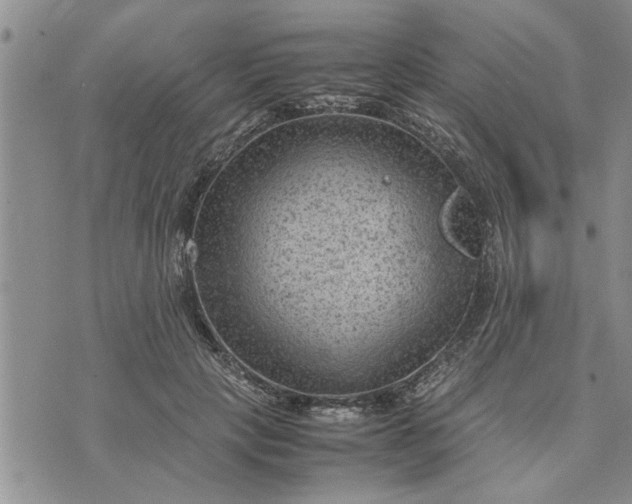 X0000075380649200609251153