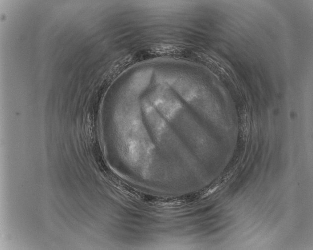 X0000075380653200609251153