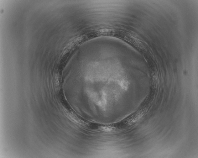 X0000075380654200609251153