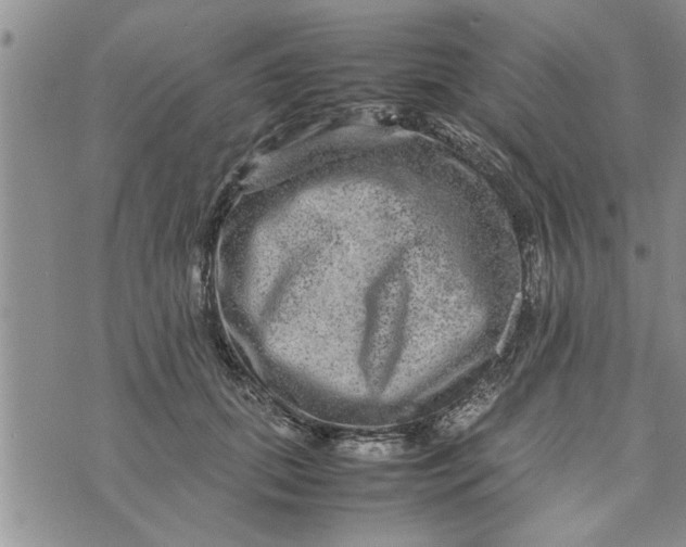 X0000075380655200609251153