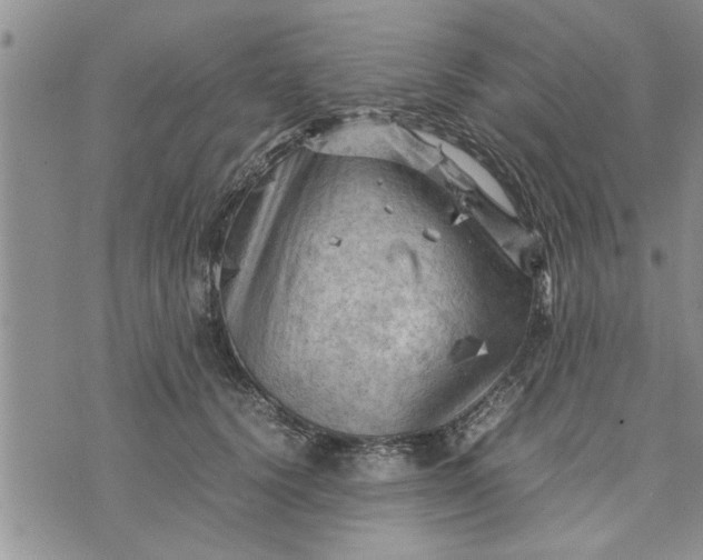 X0000075380656200609251153