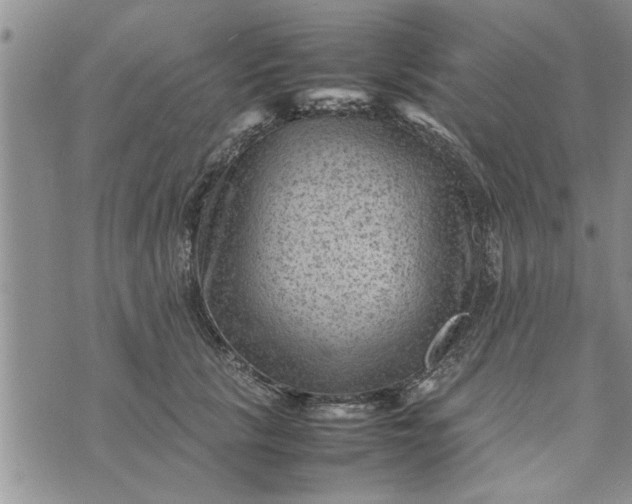 X0000075380657200609251153