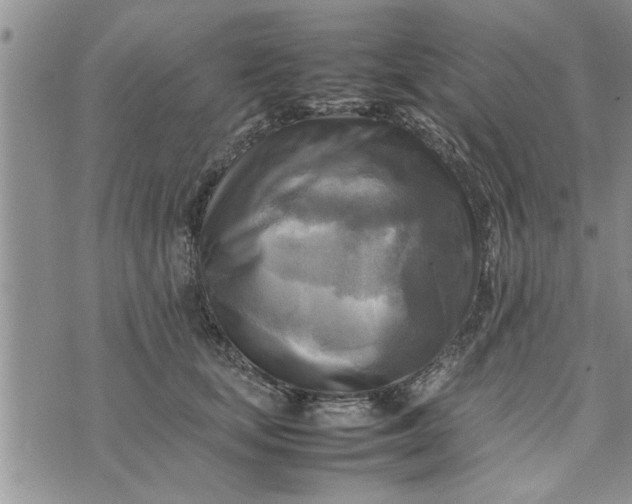 X0000075380659200609251153