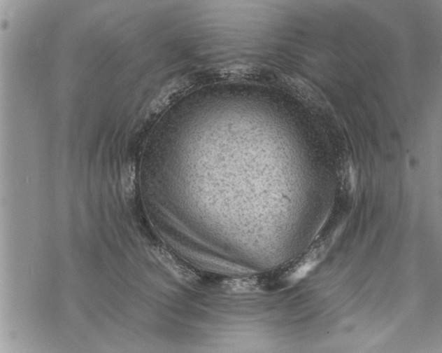 X0000075380660200609251153