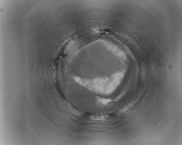 X0000075380661200609251153