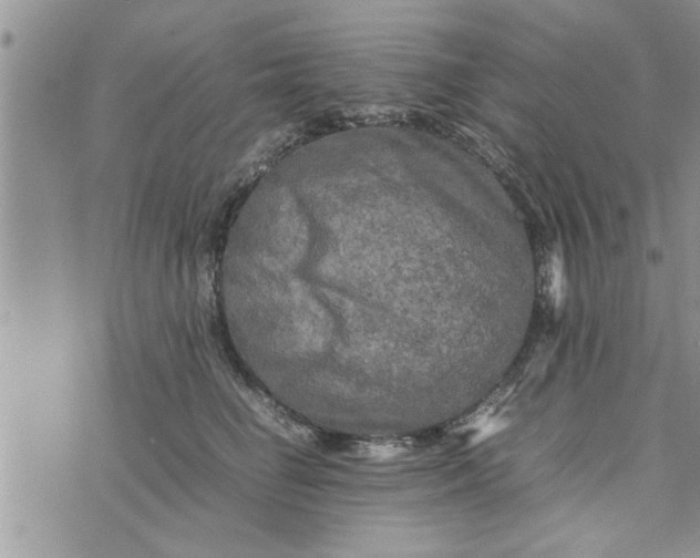 X0000075380662200609251153