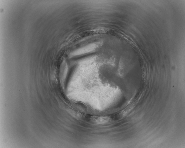 X0000075380663200609251153