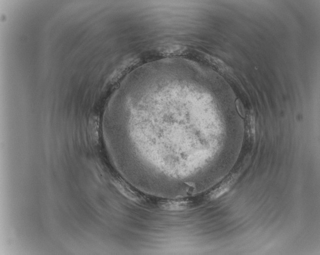 X0000075380664200609251153