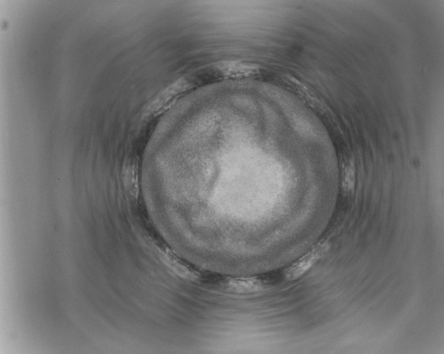 X0000075380666200609251153