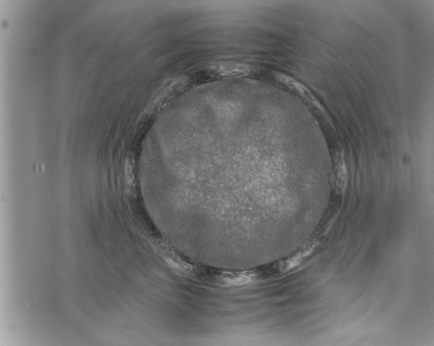 X0000075380667200609251153