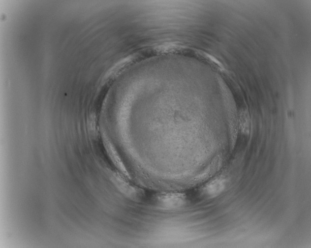 X0000075380670200609251153