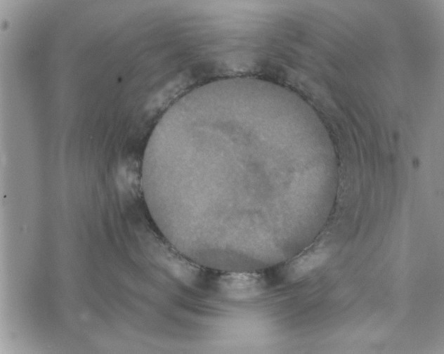 X0000075380672200609251153