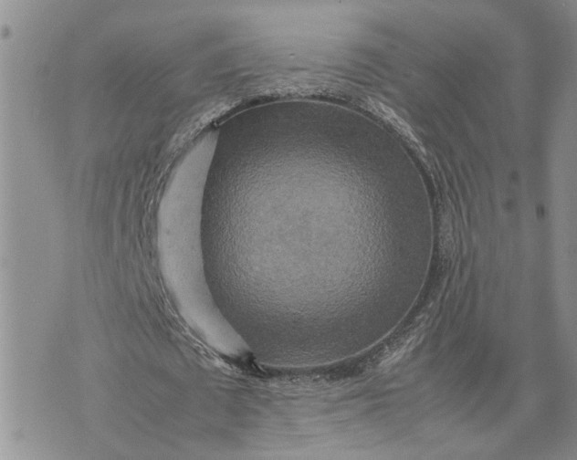 X0000075380673200609251153