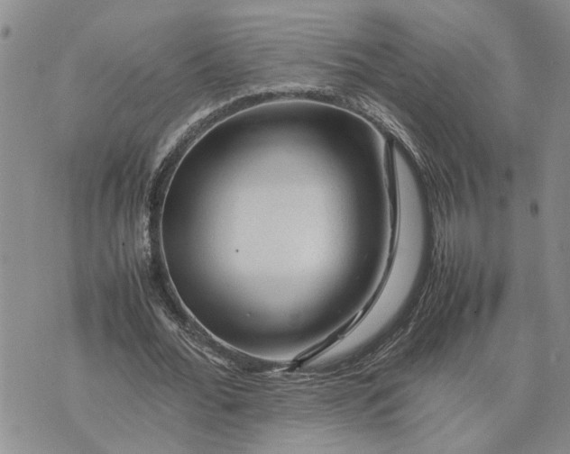 X0000075380676200609251153