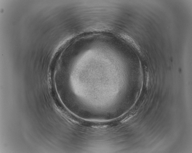 X0000075380680200609251153