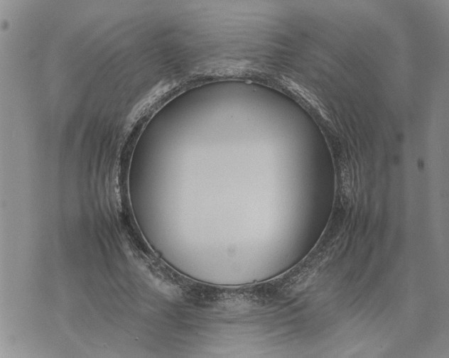 X0000075380682200609251153