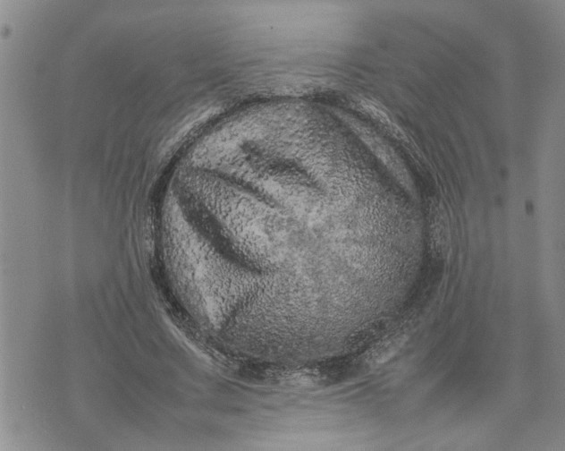 X0000075380683200609251152