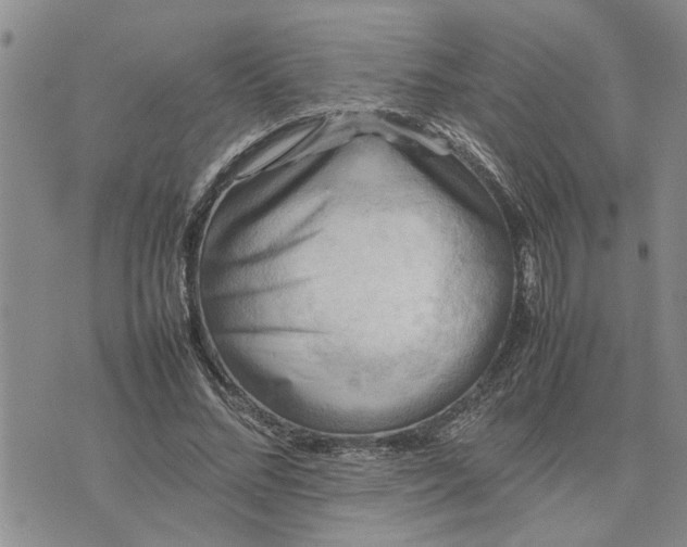 X0000075380684200609251152