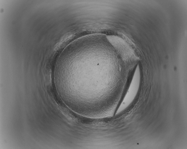 X0000075380685200609251152